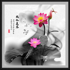 荷花