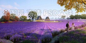 薰衣草花海