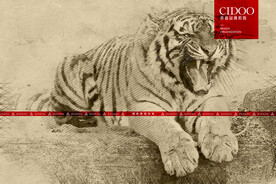 老虎 