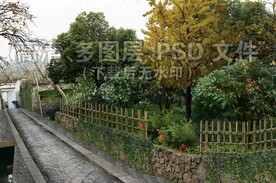农村篱笆果树