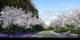 樱花林