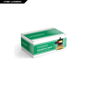 外贸气动阀包装