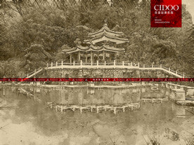 仙湖植物园 