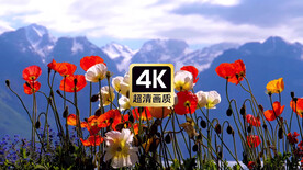 山顶随风摆动的花朵