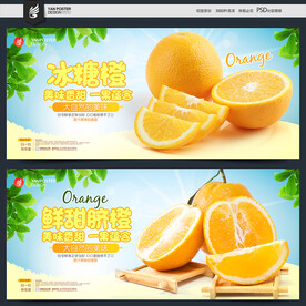 冰糖橙