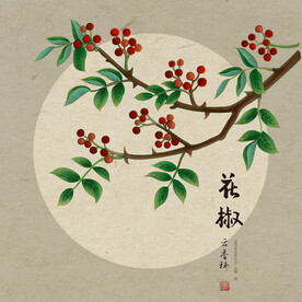 手绘花椒