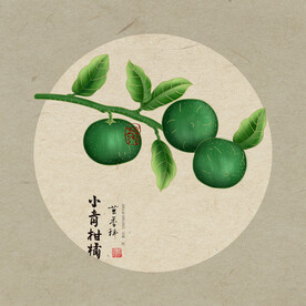 小青柑