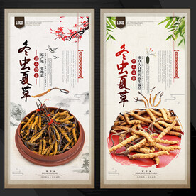 冬虫夏草