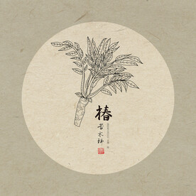 椿