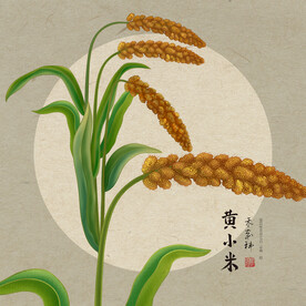 手绘小米