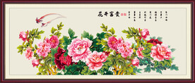 花开富贵牡丹图