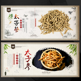 太子参
