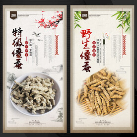 僵蚕