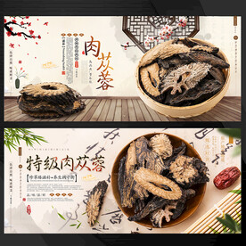 肉苁蓉