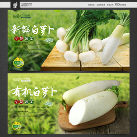 白萝卜