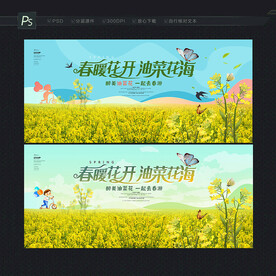 油菜花