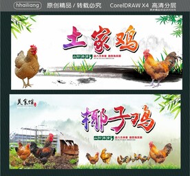 土家鸡 椰子鸡
