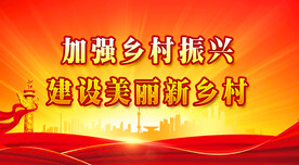 乡村振兴 