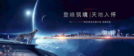 大盘形象广告