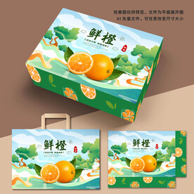 橙子包装礼盒