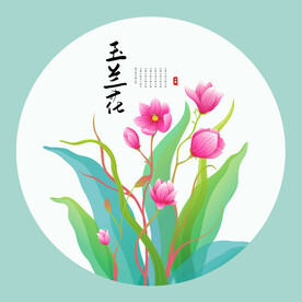 玉兰花