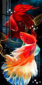 时尚轻奢孔雀鱼斗鱼玄关装饰画