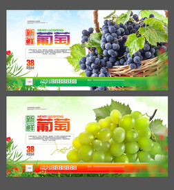 葡萄海报