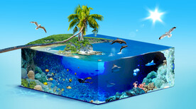 3D立体海洋墙画