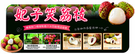 妃子笑荔枝异形吊牌