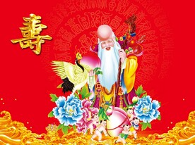  老寿星
