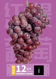 红提葡萄