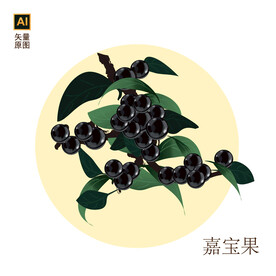嘉宝果手绘