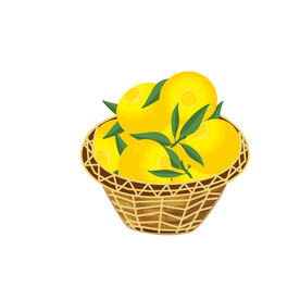 手绘黄金贡柚
