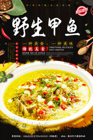 野生甲鱼