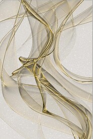 抽象透明金色线条飘带装饰画