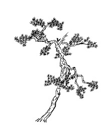 手绘 树