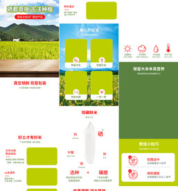 丝苗米糙米大米珍珠米详情页描述