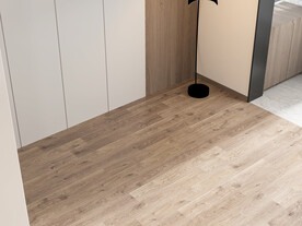 俯视客厅空场景3D效果图