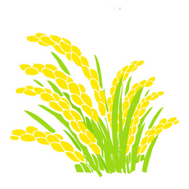 植物稻子元素