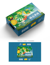 黄桃包装 
