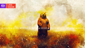 棕熊