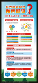 野外遇到林火如何避险