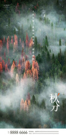 秋分
