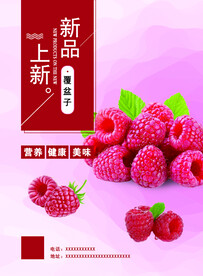 树梅 覆盆子
