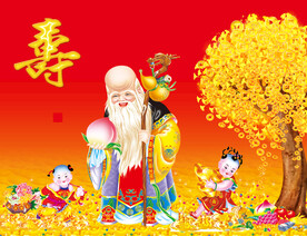 南极仙翁