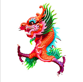 龙