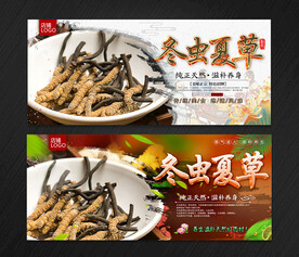 冬虫夏草