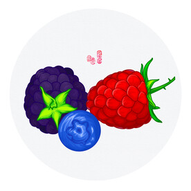 蓝莓树莓
