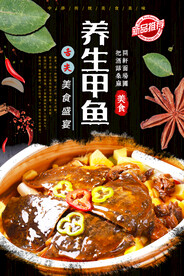 养生甲鱼