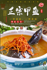 正宗甲鱼